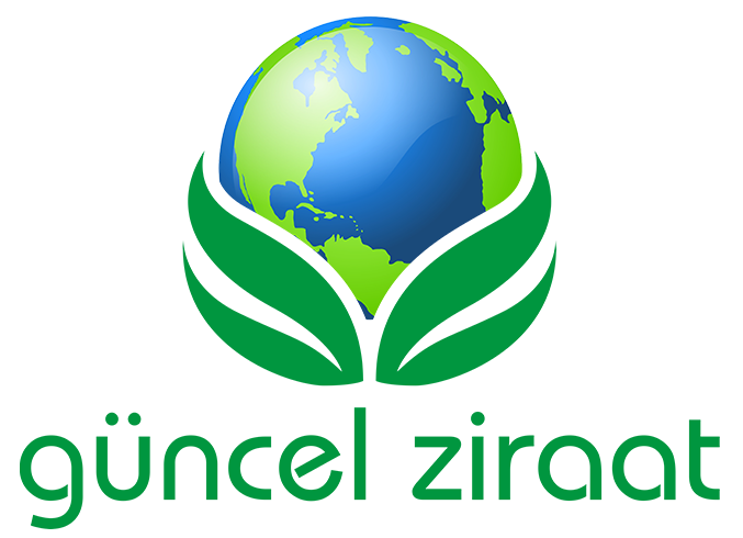 Güncel Ziraat