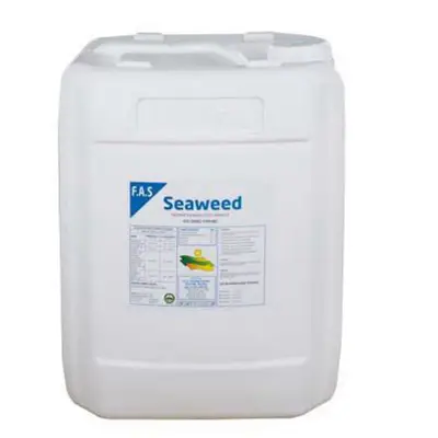 SEAWEED GÜBRE